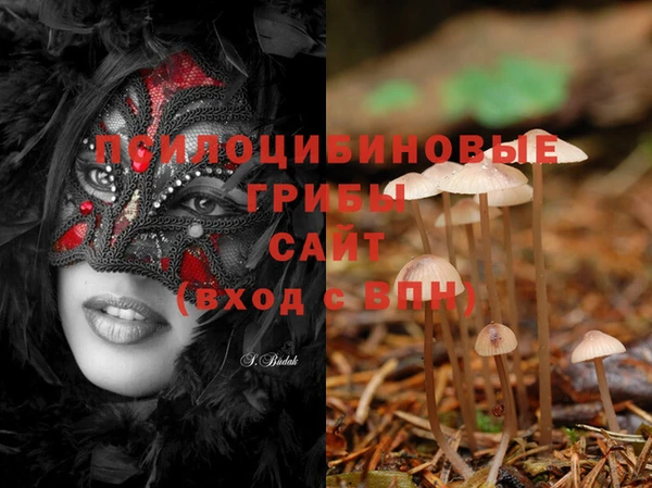 ECSTASY Баксан