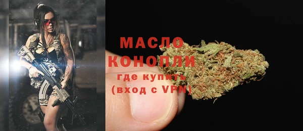 молекула духа Арсеньев