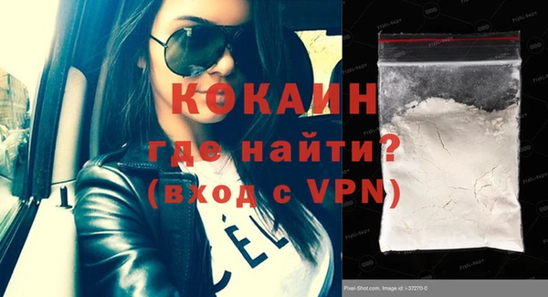молекула духа Арсеньев