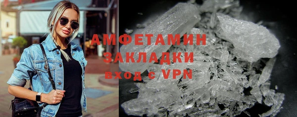 молекула духа Арсеньев